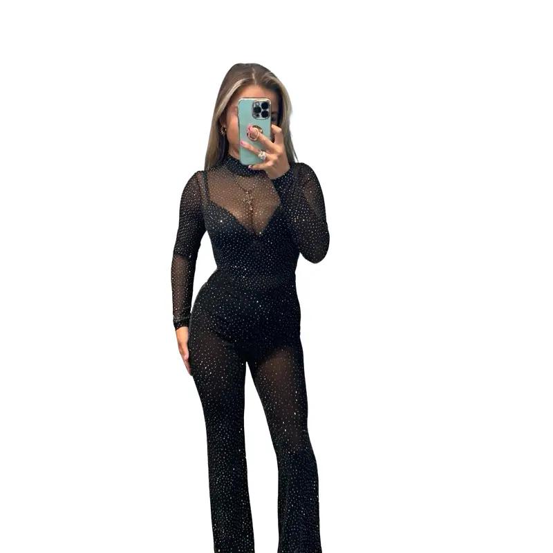 Alba Sheer Sparkly Flared Pants Bottoms